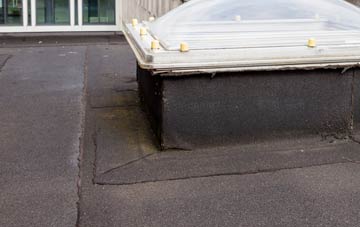 disadvantages of Preston Marsh flat roofs
